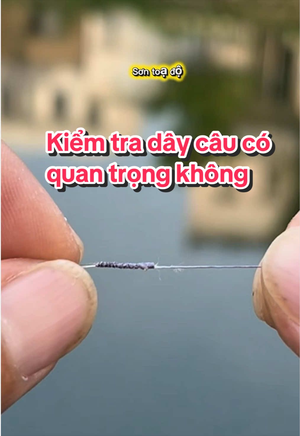 @Sơn toạ độ