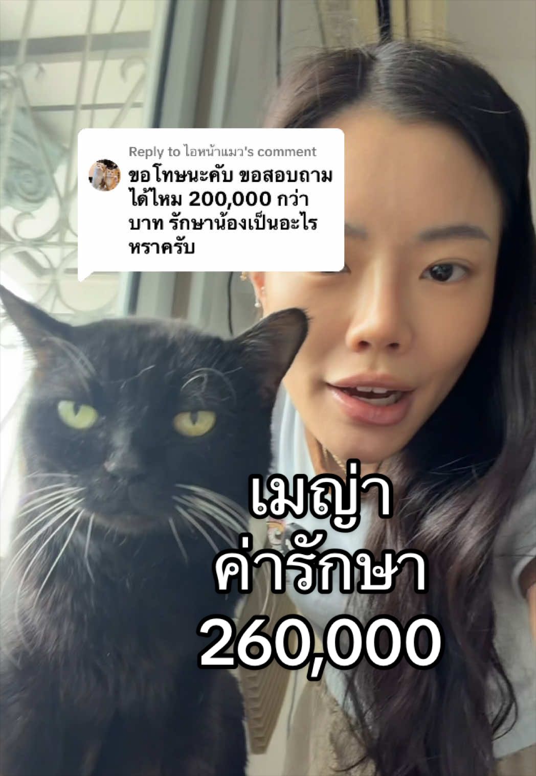 @nothingjustmeowmeow