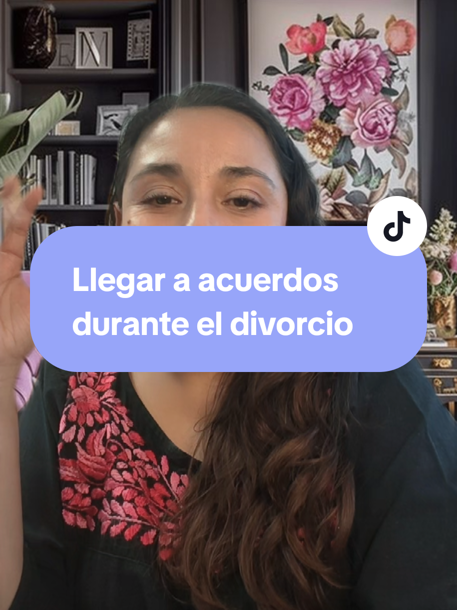 @organizatudivorcio