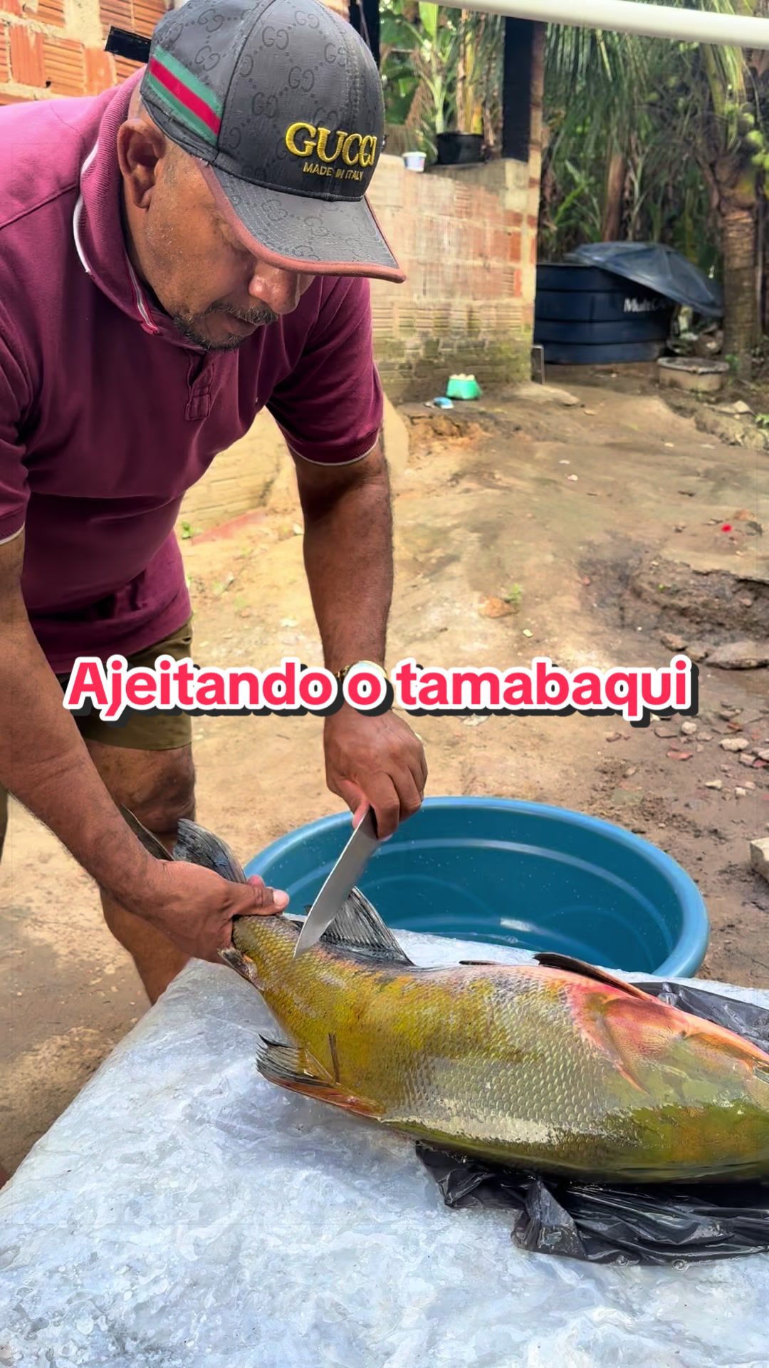 @Antônio Moreno