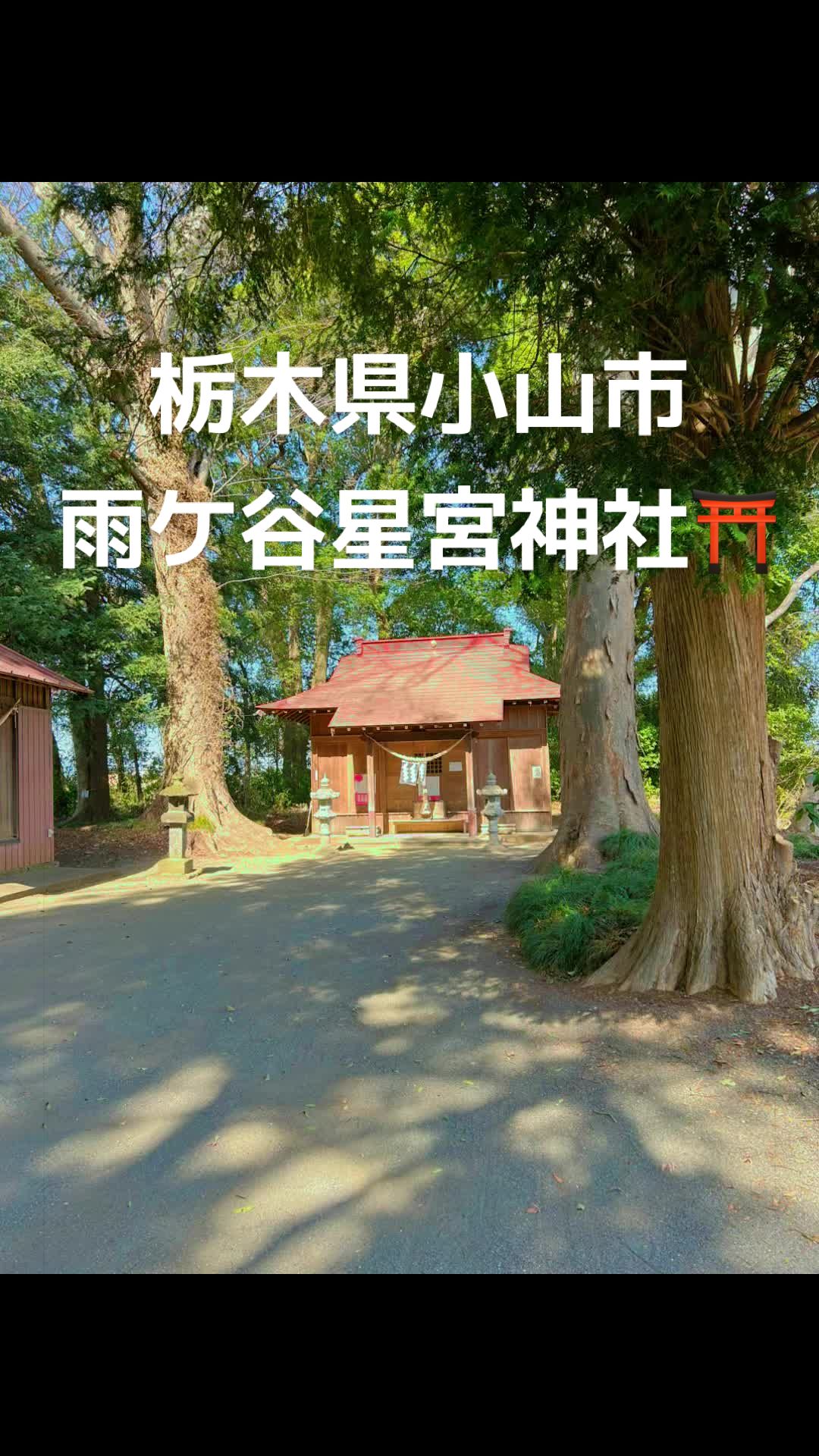 @♡さくらの♡