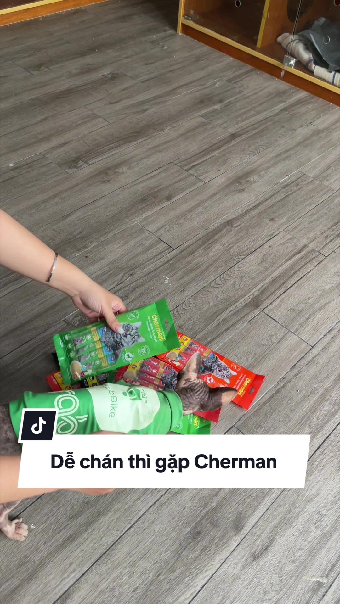 @Sếp Tôi Là Một Con Mè