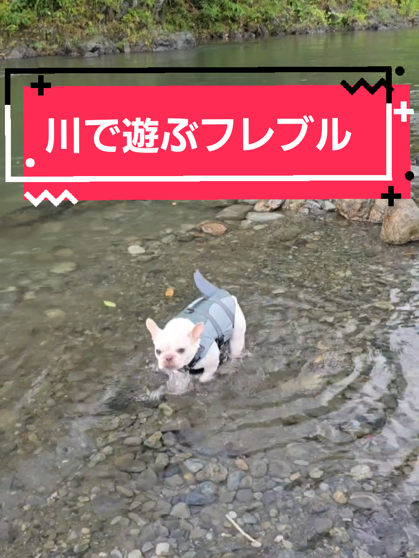 @フレブルJesse ❤️ MyO
