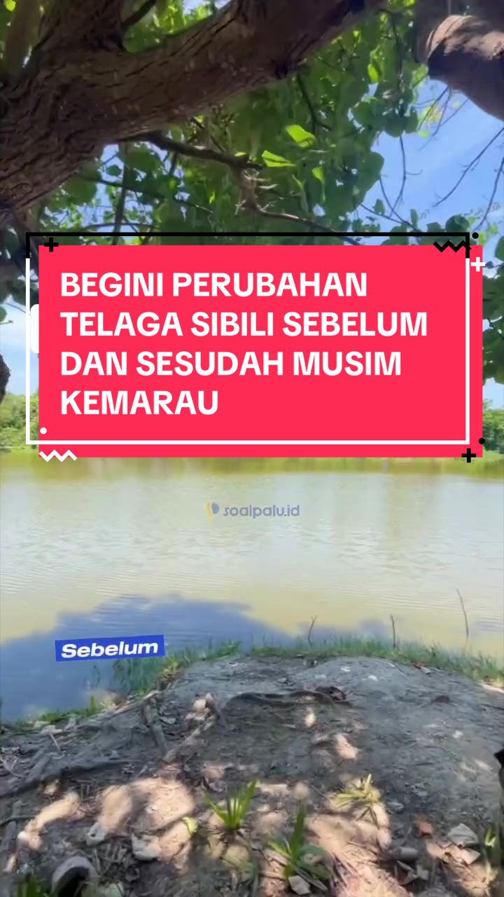@soalpalu