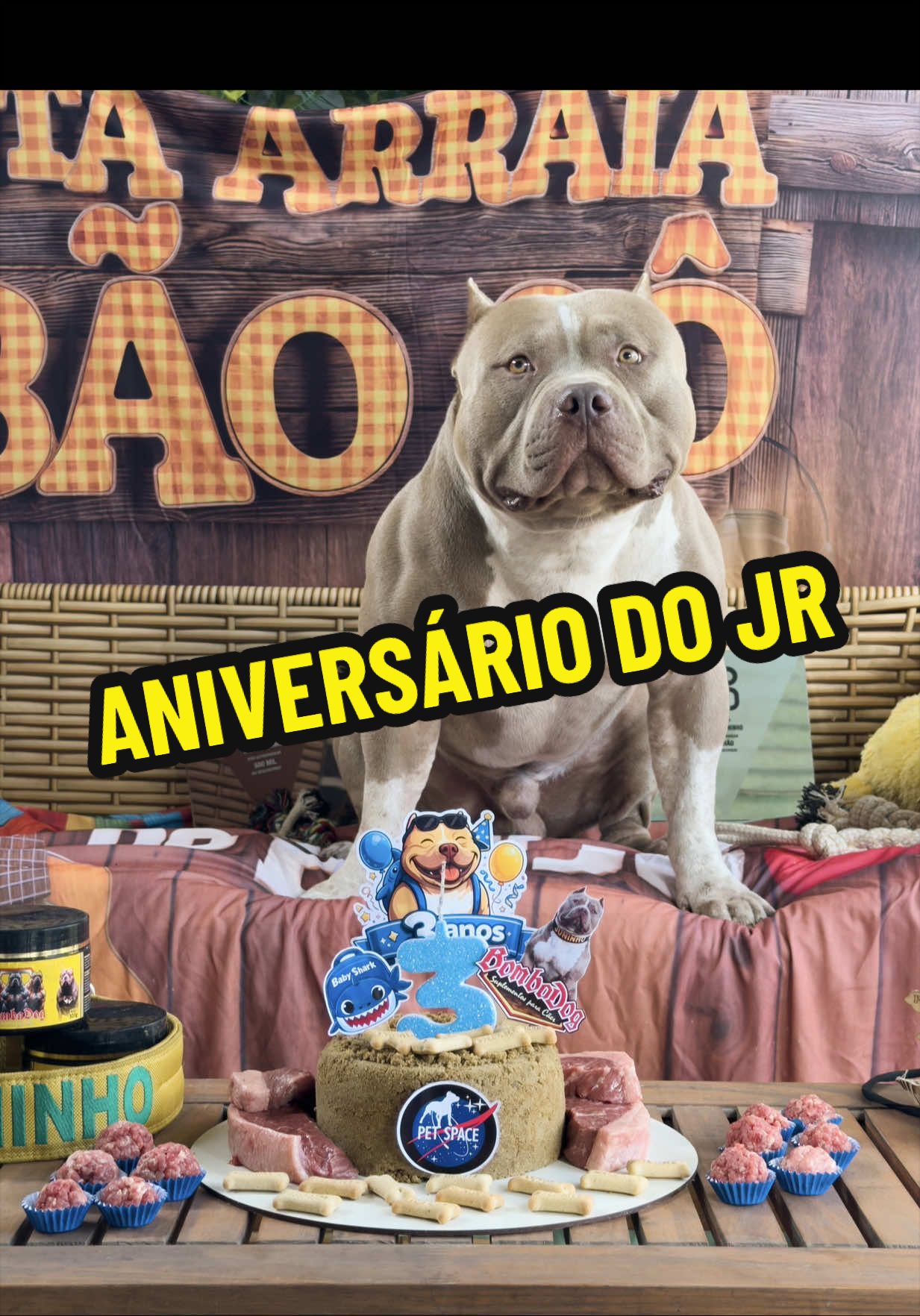 @Família Ragnar 🐶