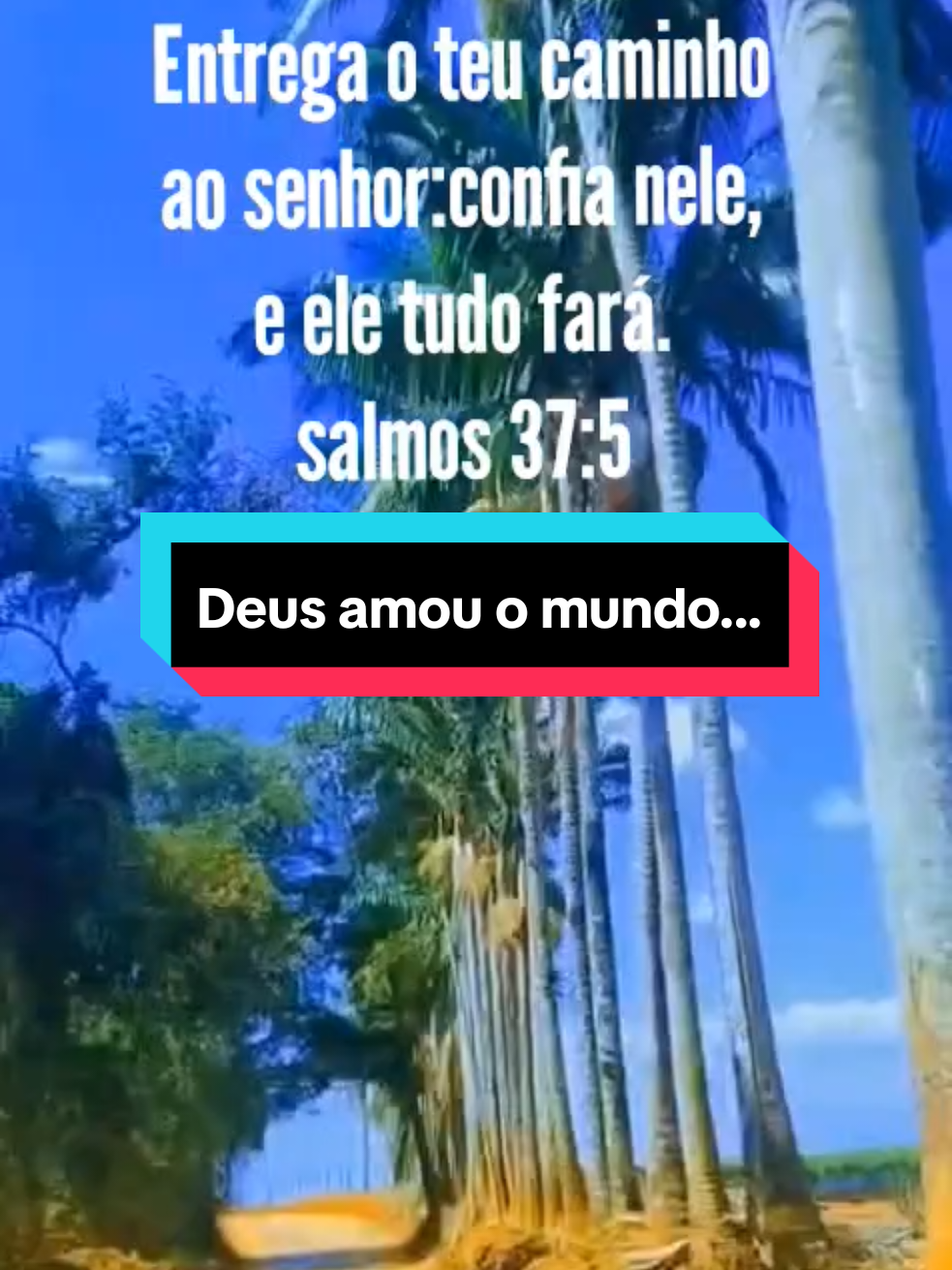 @Maria Paiva paiva