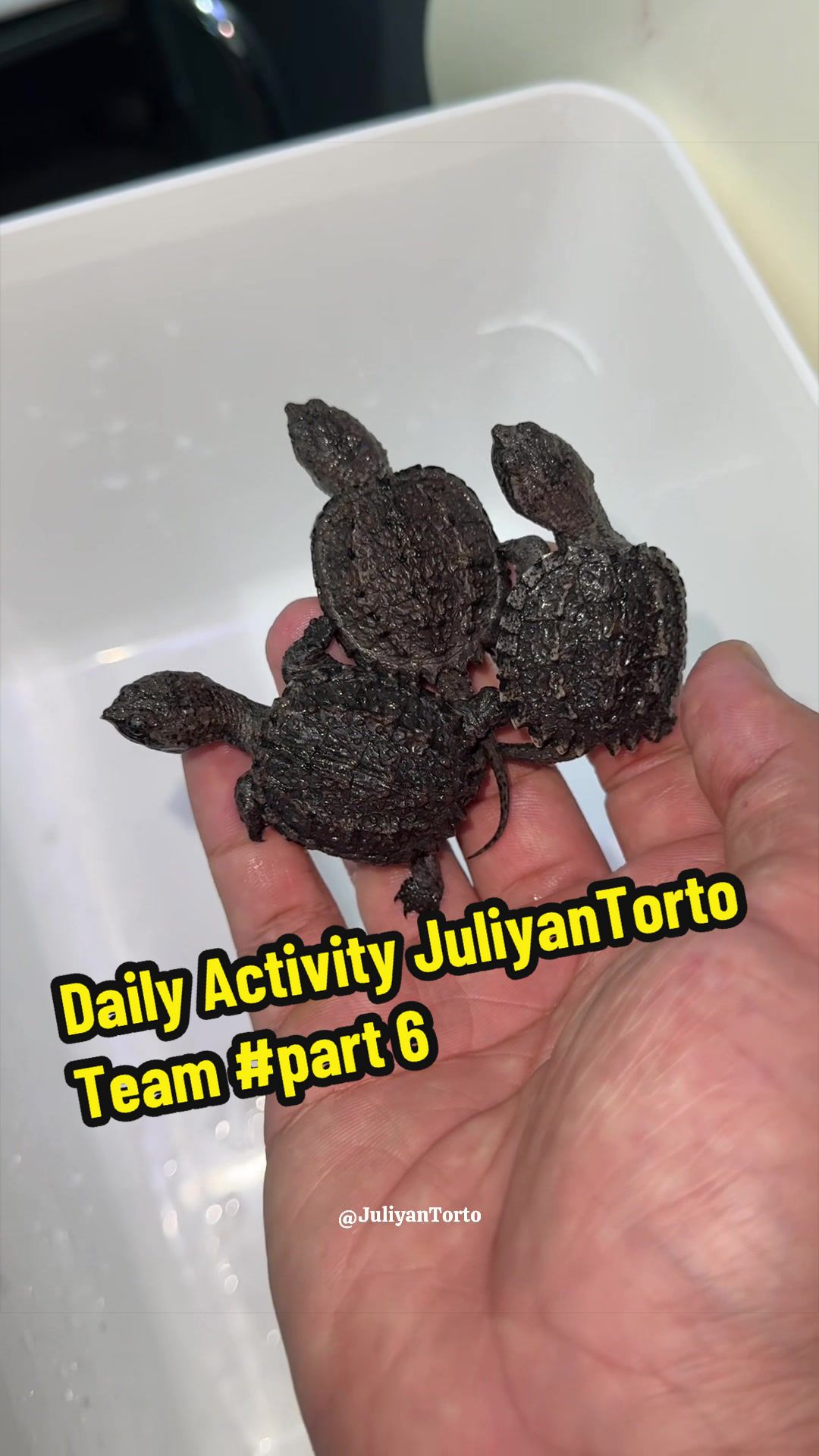 @JuliyanTorto