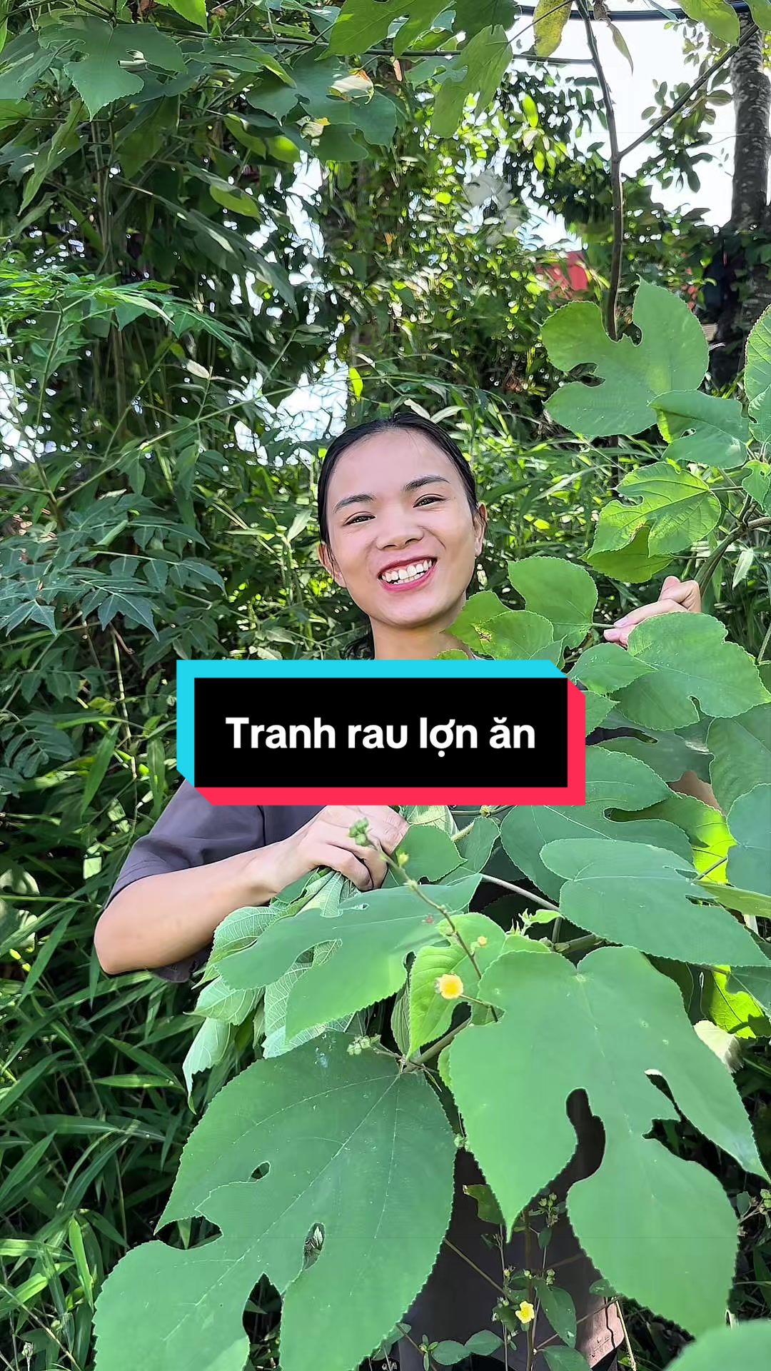 @Nhi Dao Đỏ