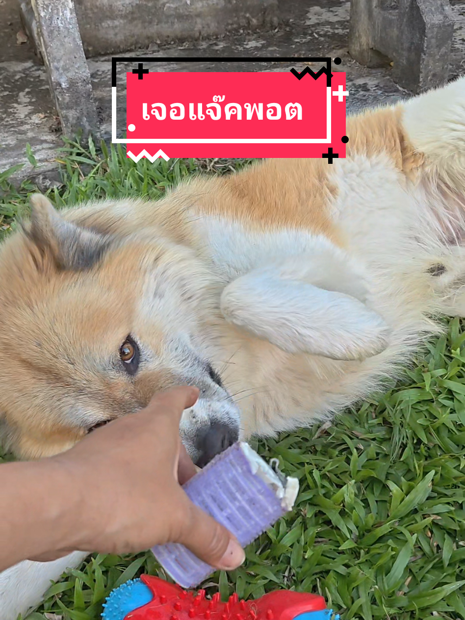 @หลิวหลิว แม่พี่ธอร์