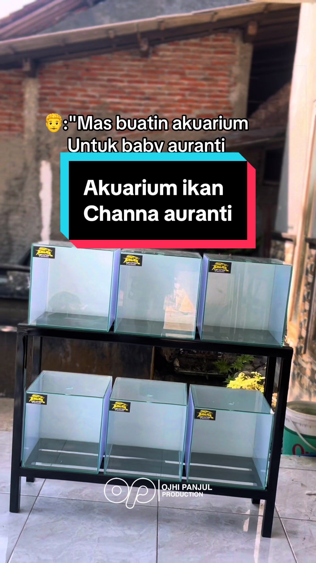 @Panjul Aquafish