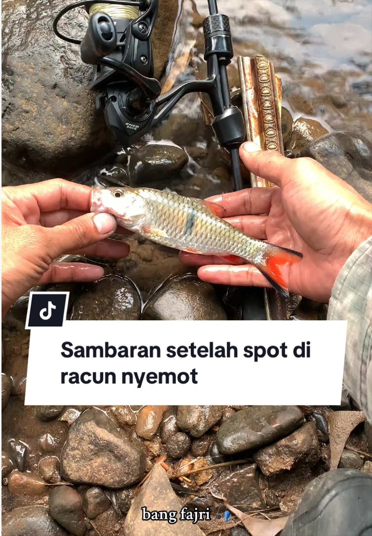 @Bang Fajri 🎣