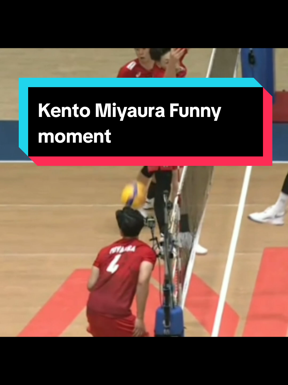 @라니아-Volleyball