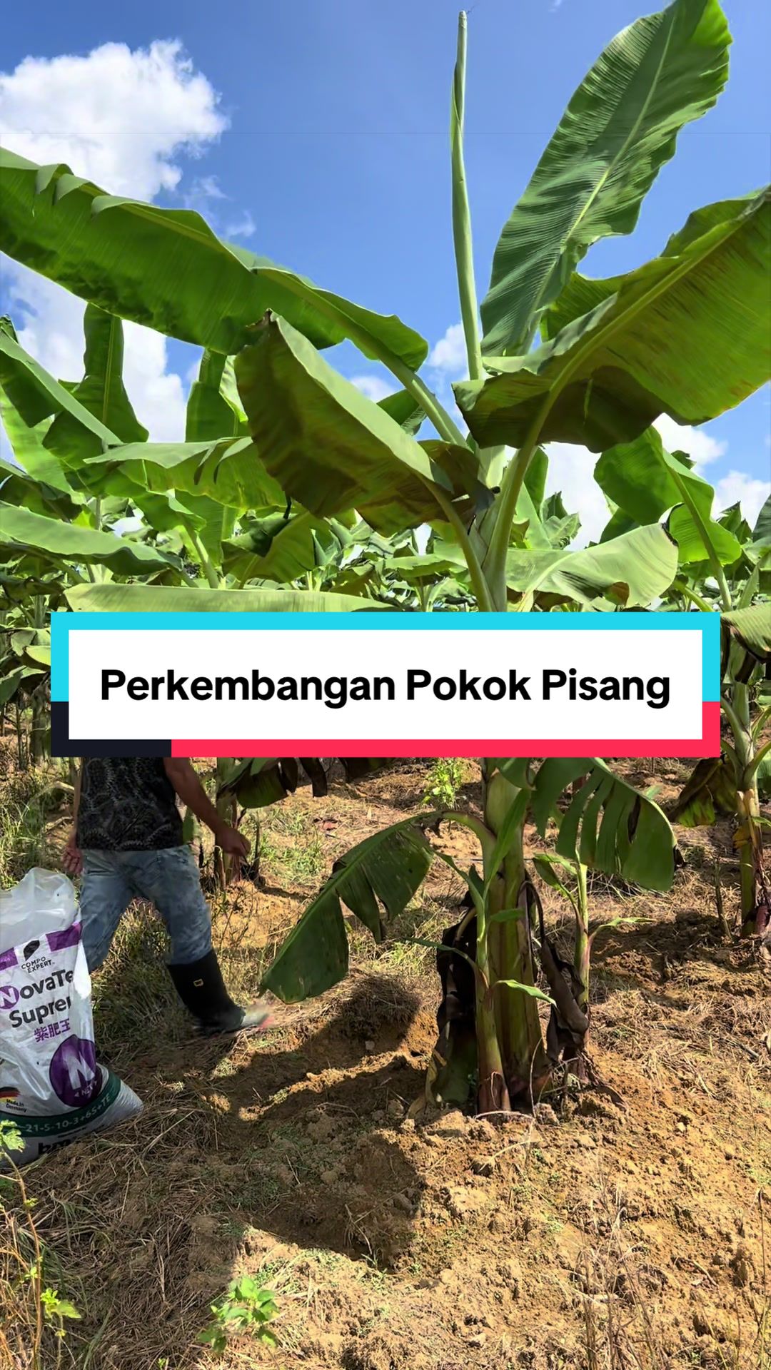 @Dusun Cikgu Mail