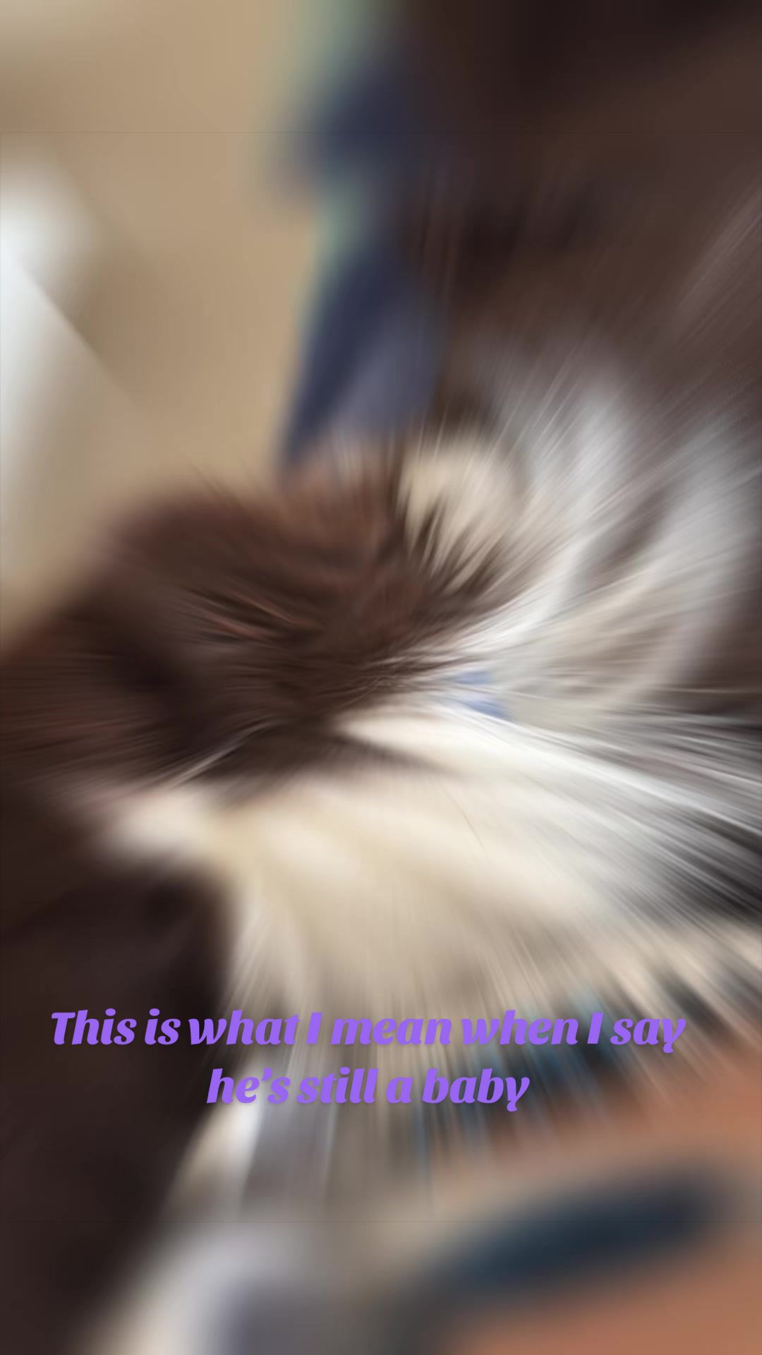 @Just Flame and his Human