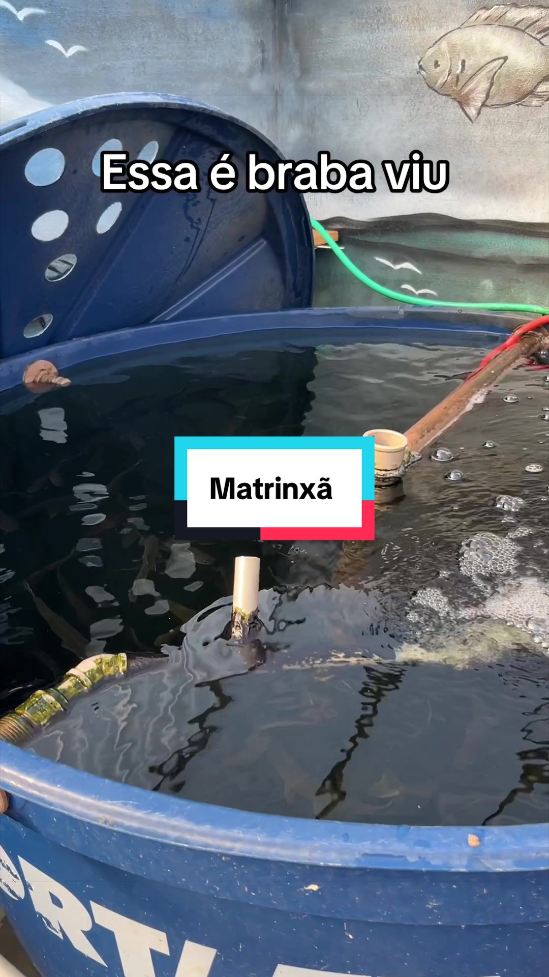 @Walter Fish
