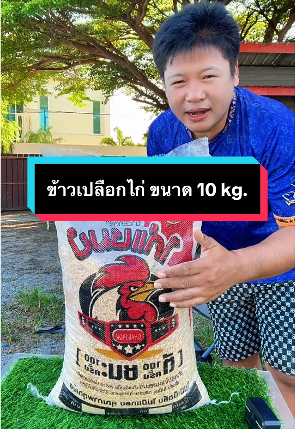 @วุดดี้ รีวิว56