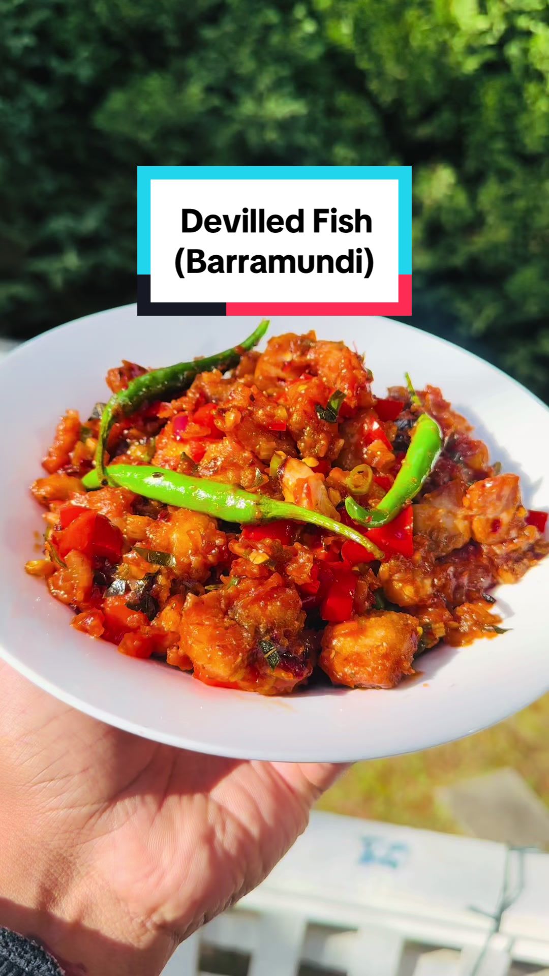 @patta_recipe_Don_Gayan_Weerasi