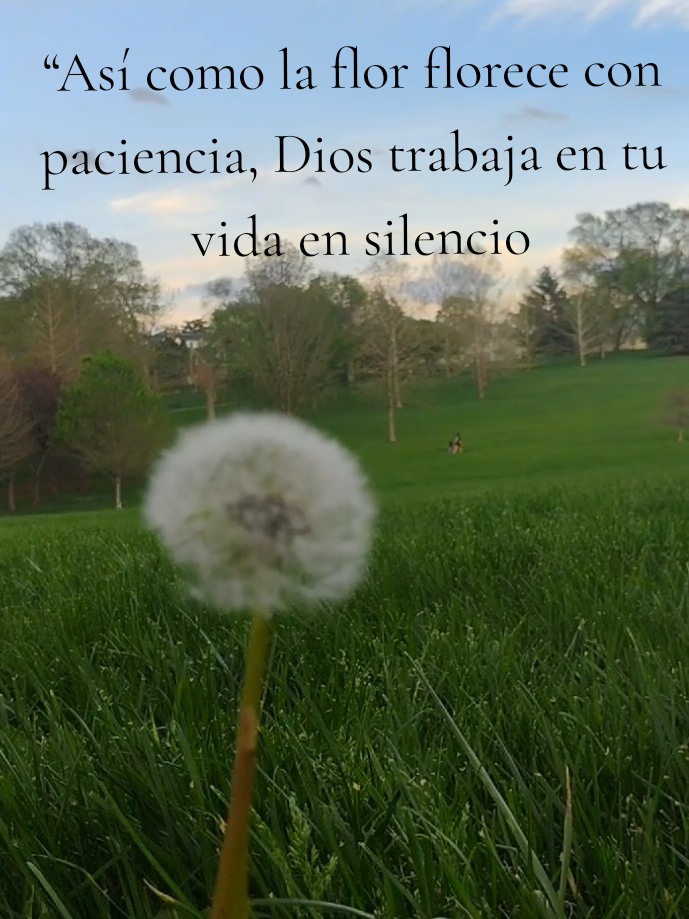 @AdriAnA