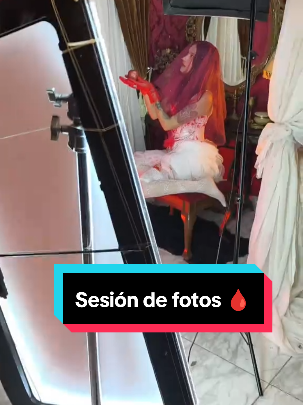 @Estefania LeChat