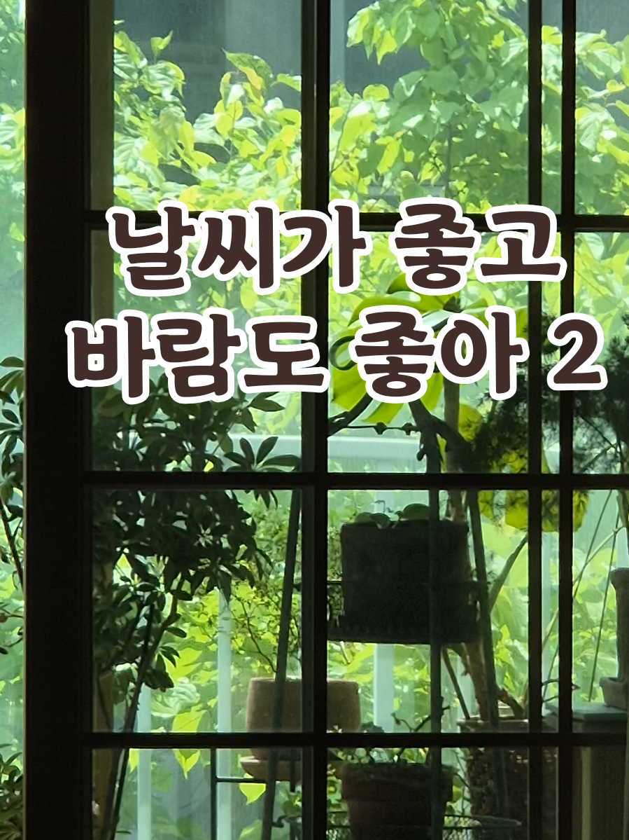 @송화찌