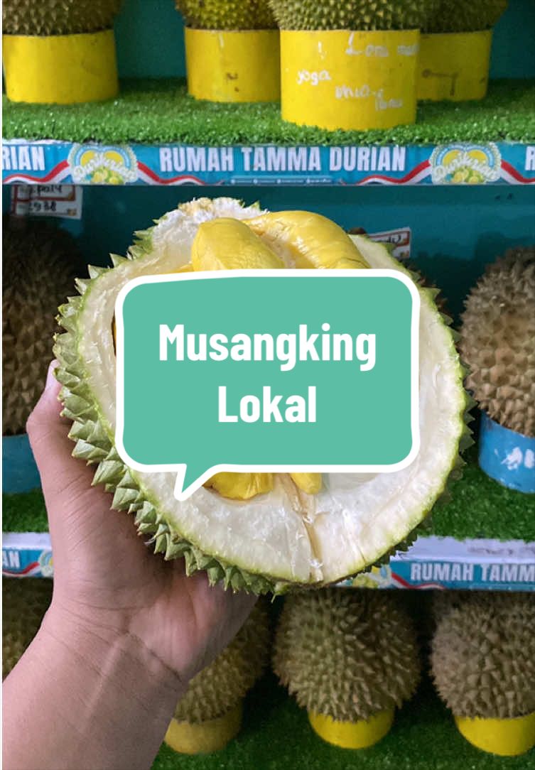 @Rumah Tamma Durian