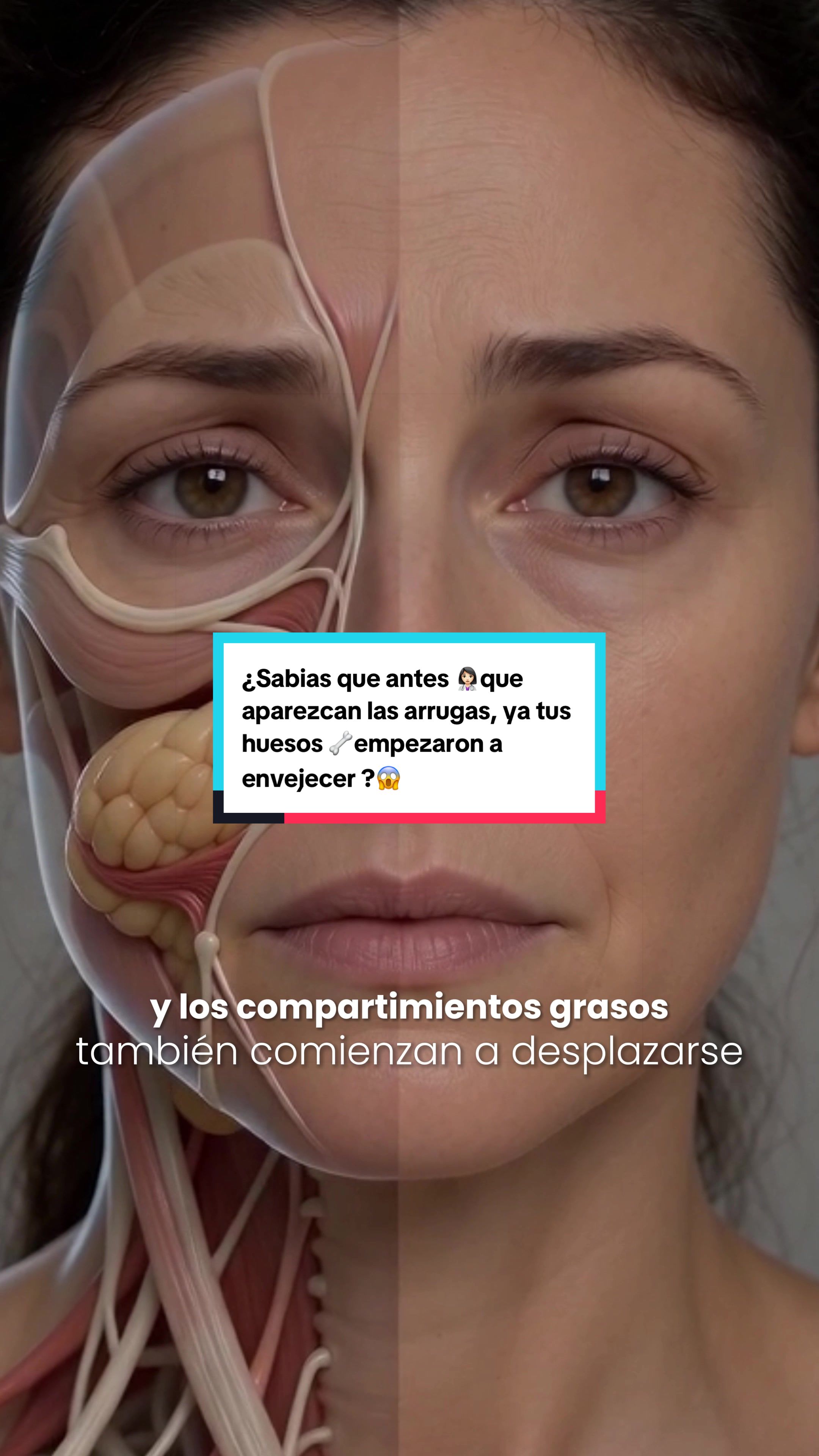 @Dra. Luisa Obregón