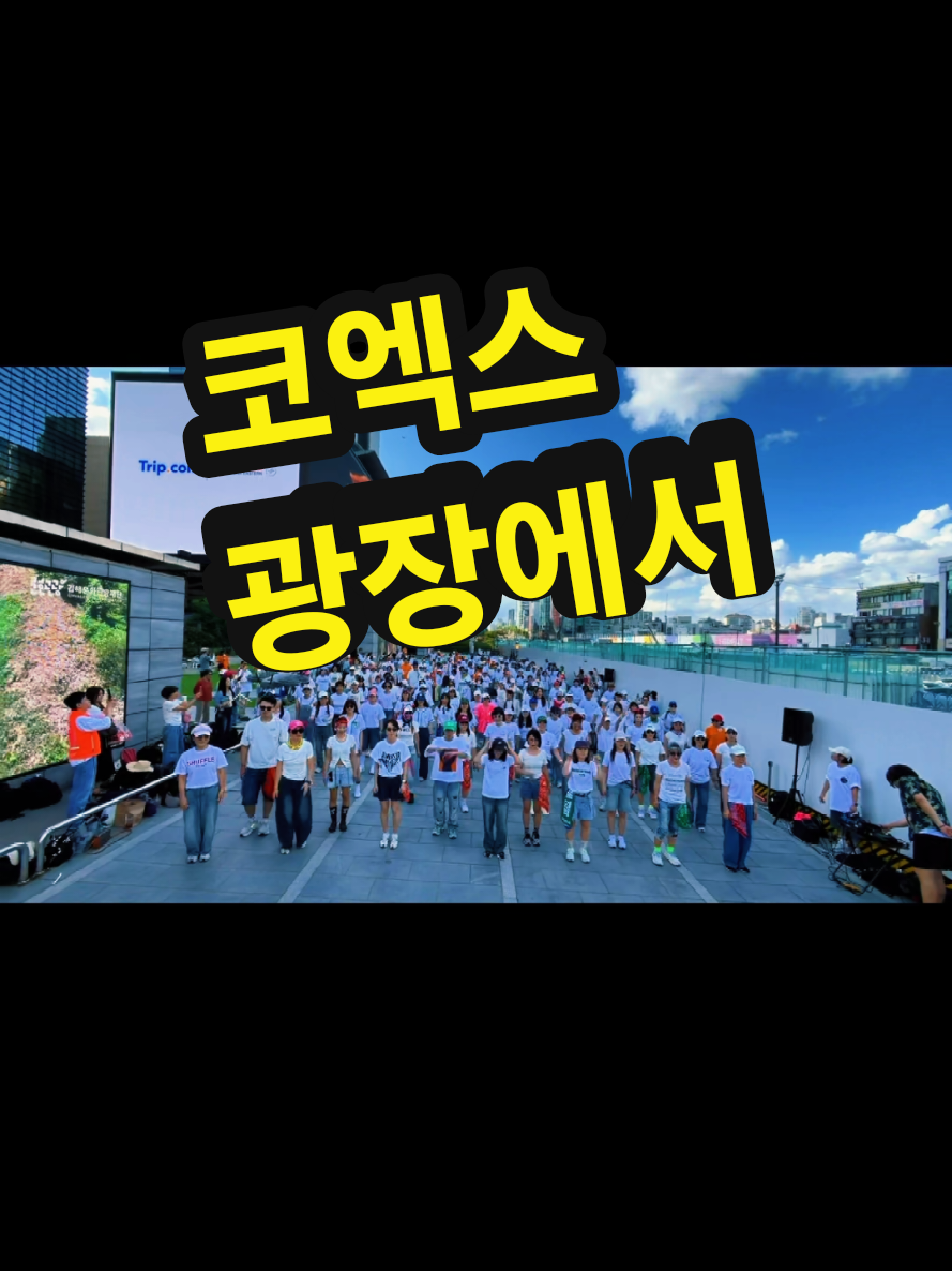 @틱톡왕비
