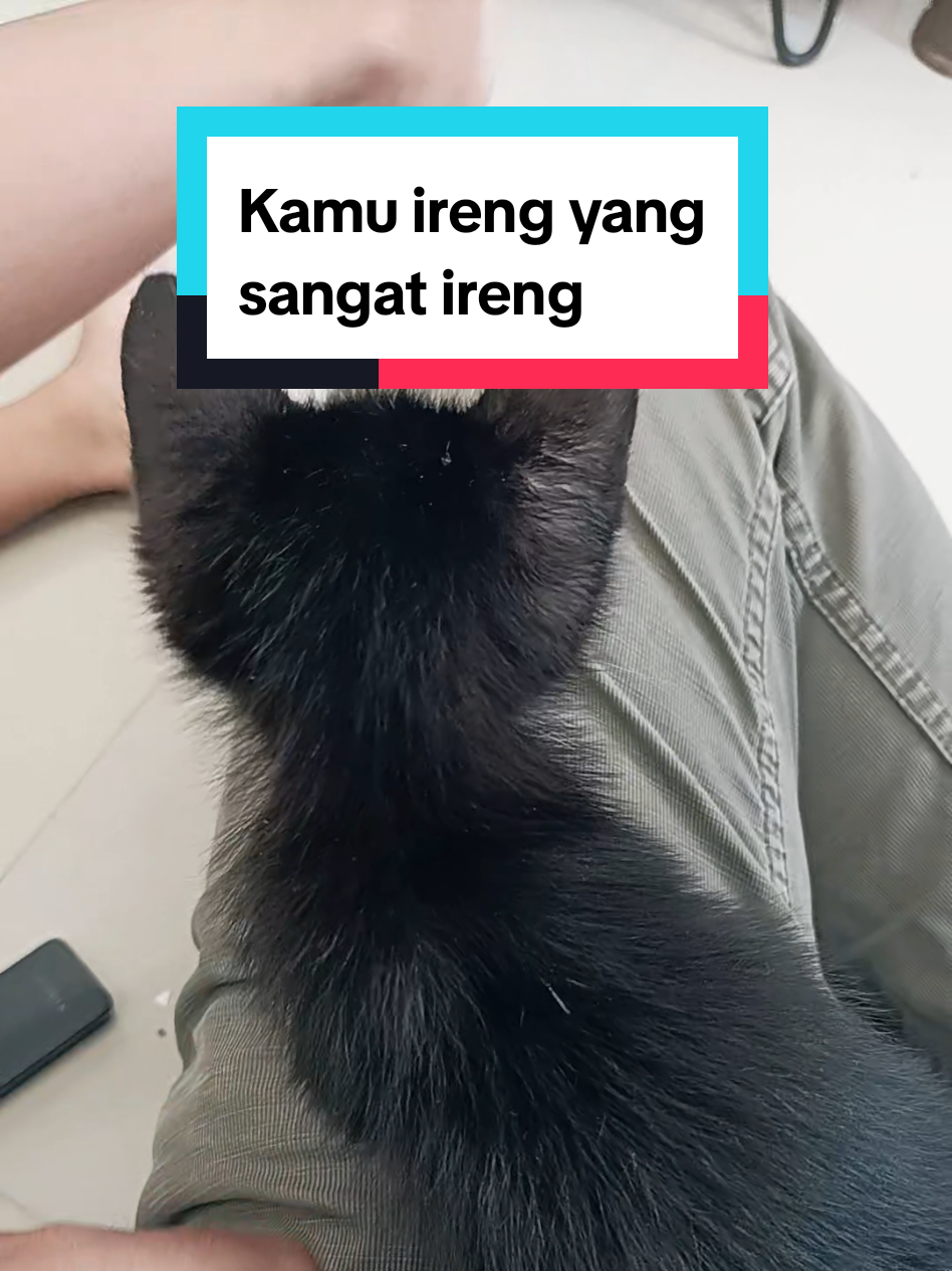 @Fend