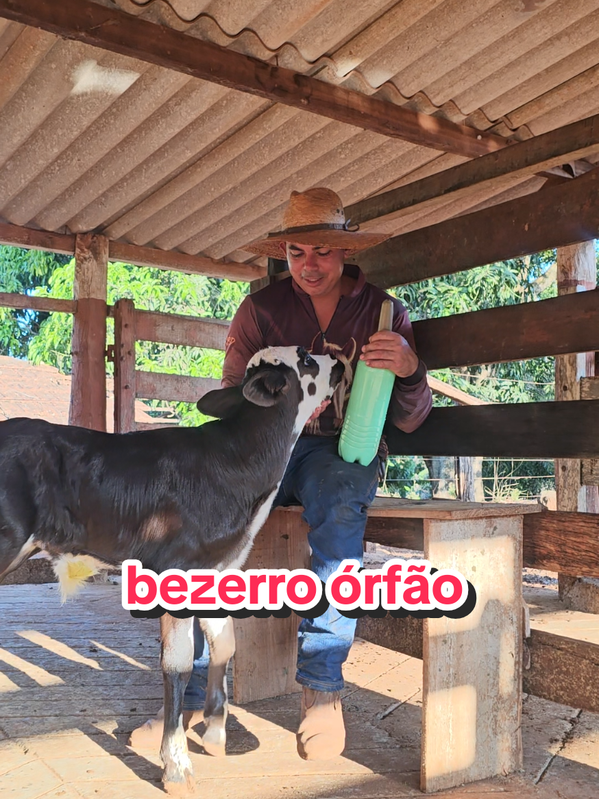 @Geovane neto