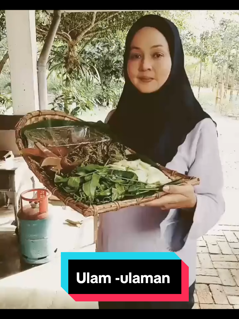 @jasminhamidjh