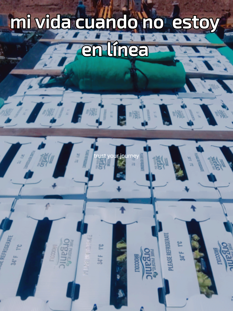@Alejandro Lopez