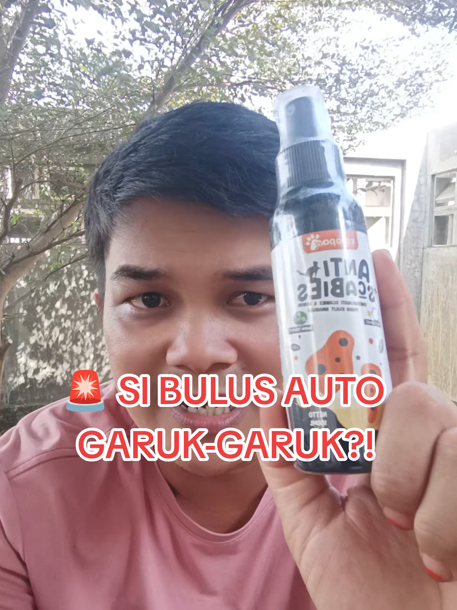 @Medayo Petcare