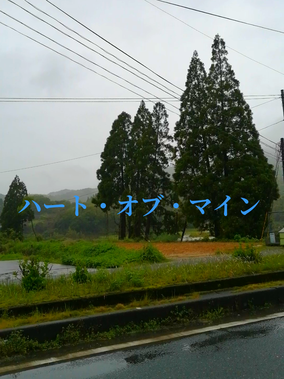 @ナツロキ🎶音楽と⛰️風景と😃😃一緒に