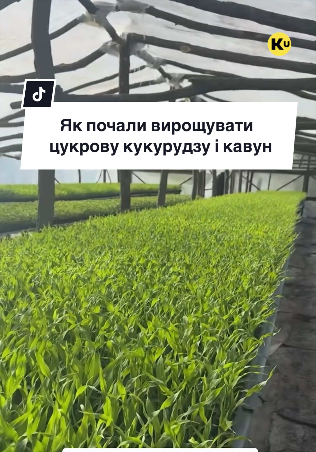 @Ku 🟨🟩 Lati – Agro Ukraine