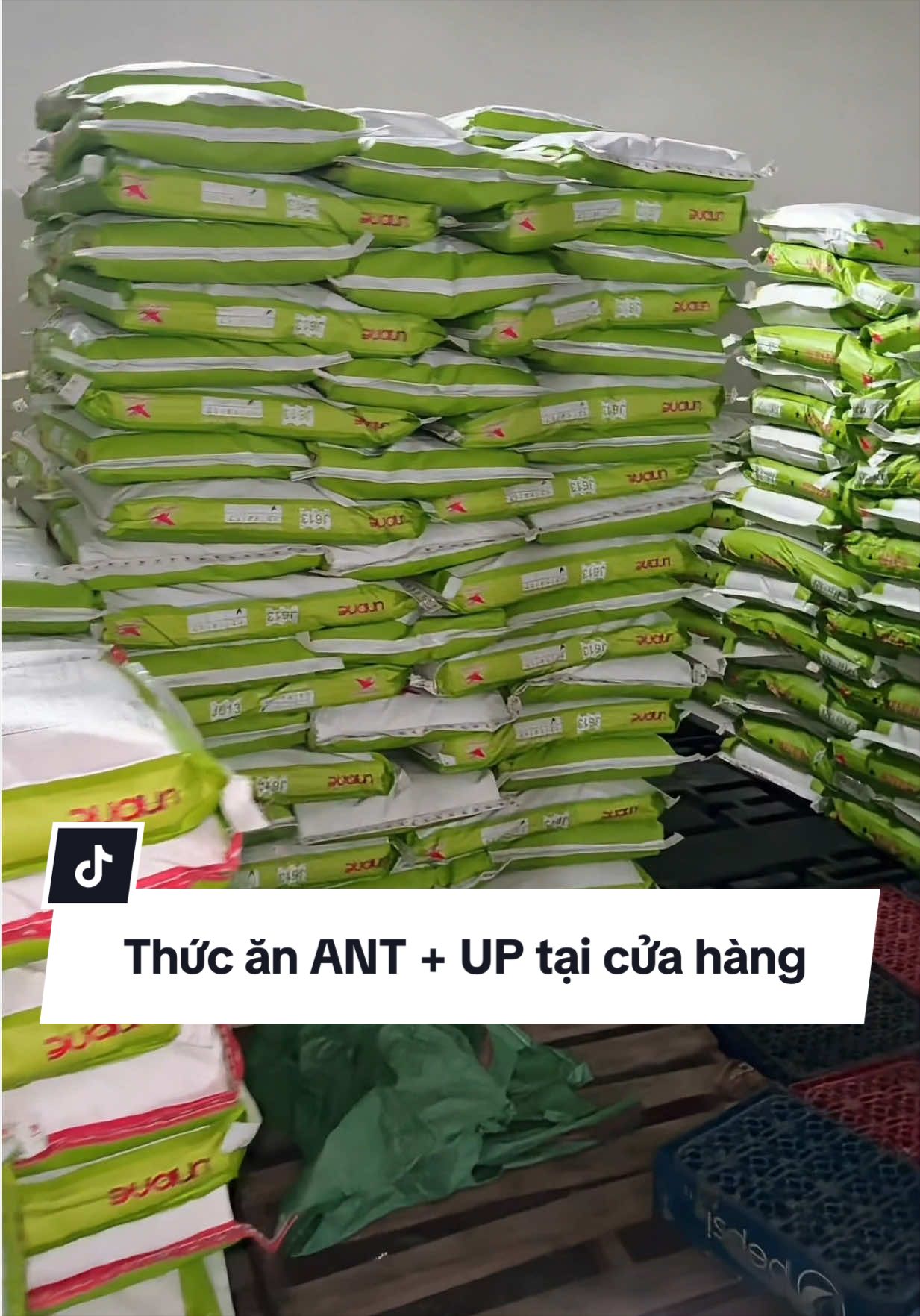 @Vật Tư Thuỷ Sản Thành Lẹ