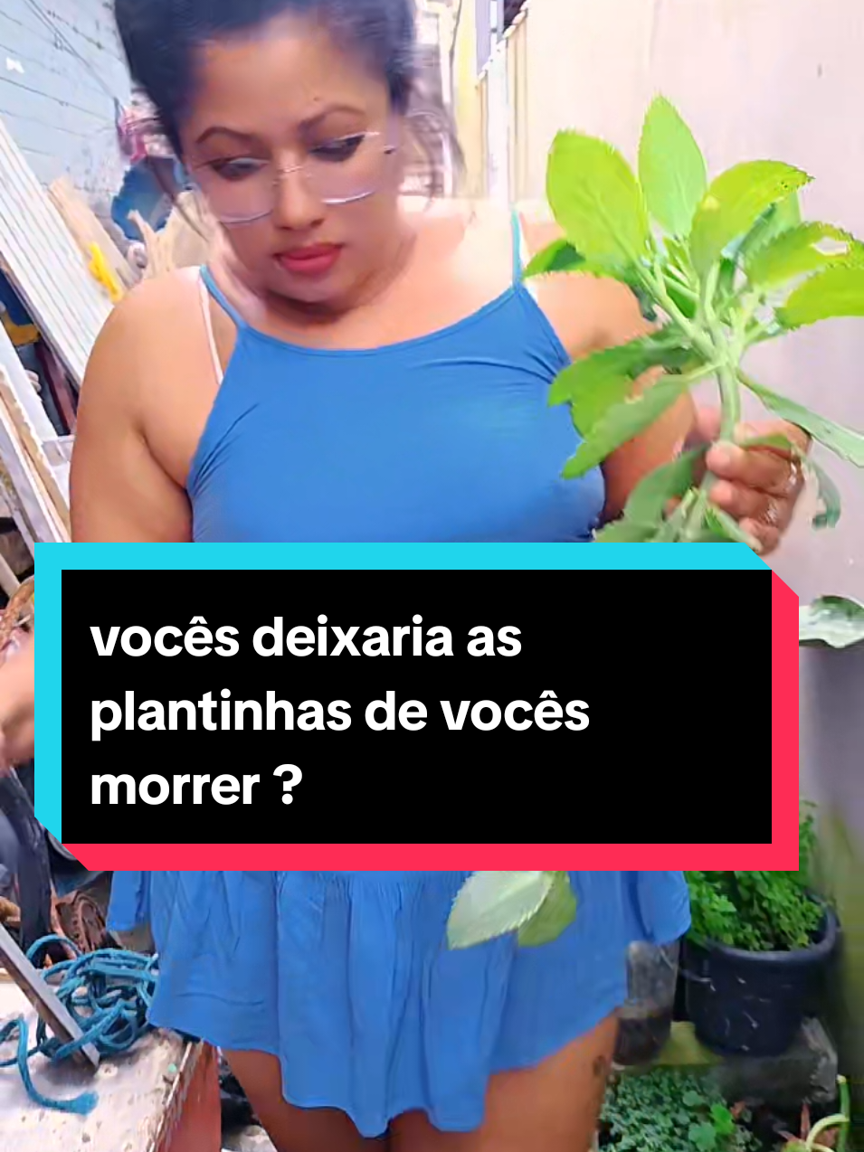 @lu Moreira