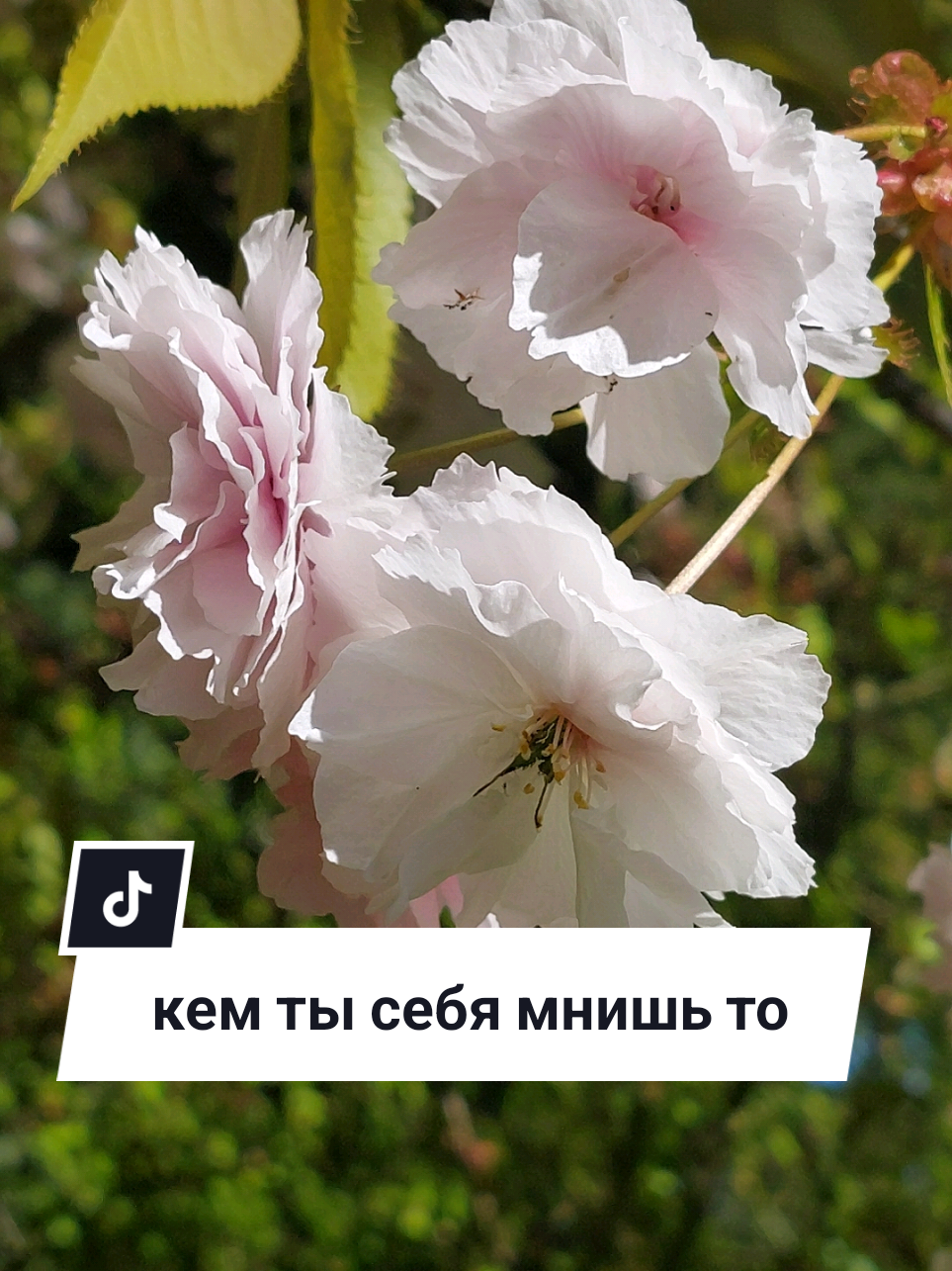 @Рыся✔️🇧🇾