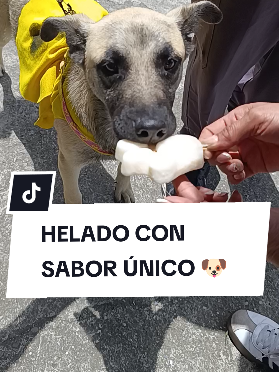 @Doggy Cream