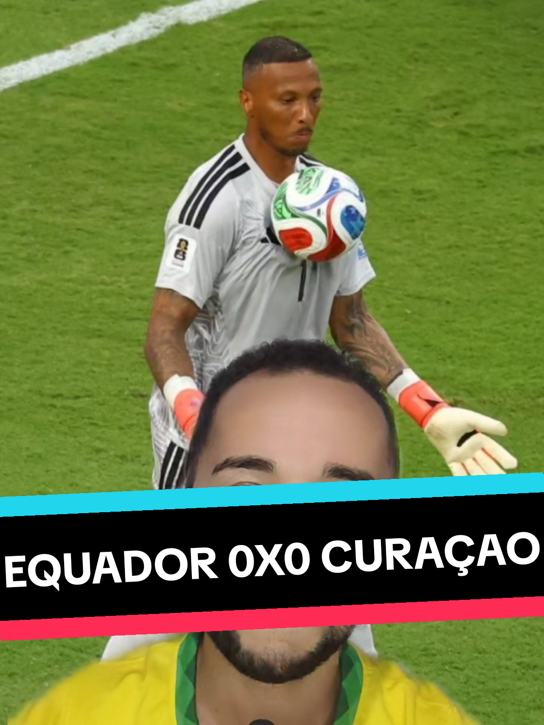 @analistaleigo