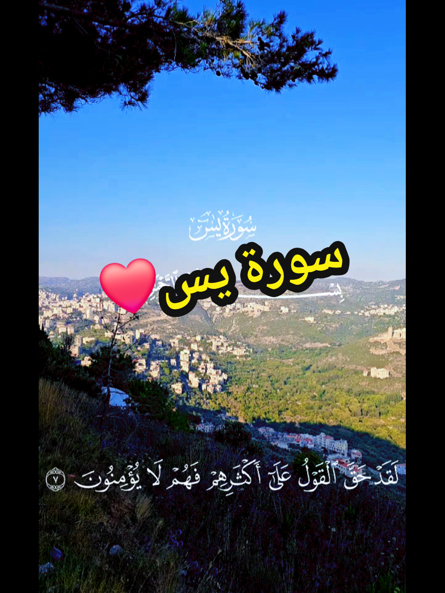 @احمد منير