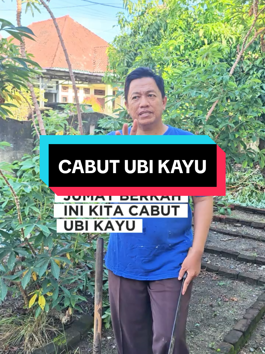 @Mr JARNAWI