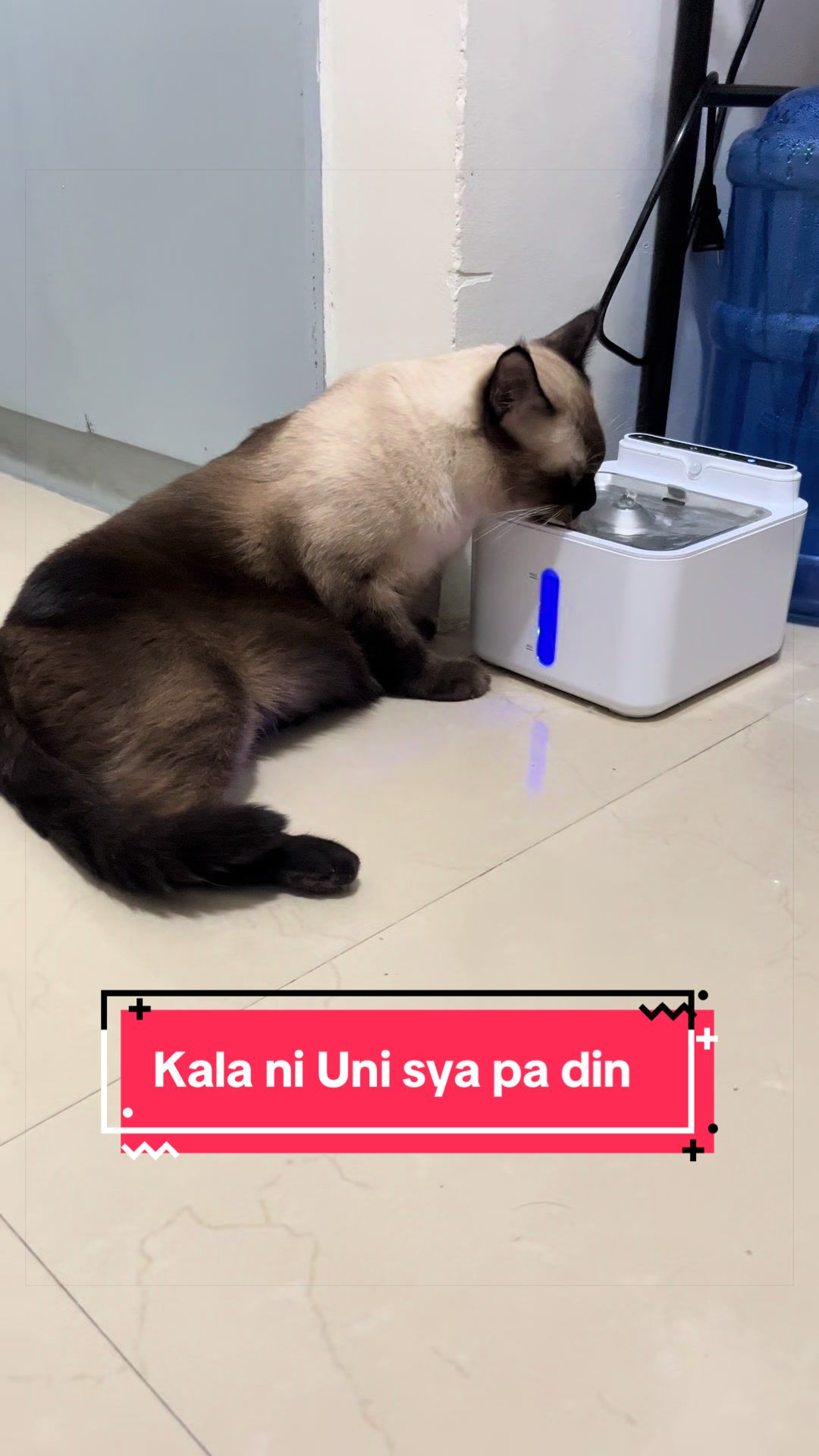@Asta
