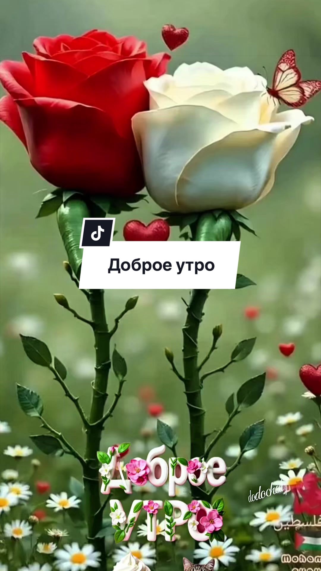 @Dona