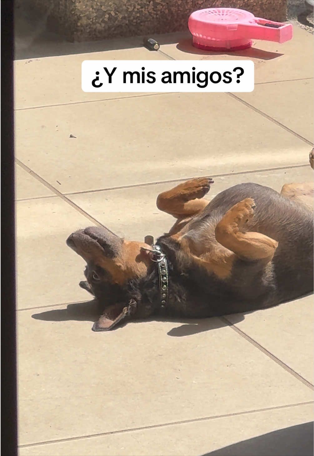 @Team Luna