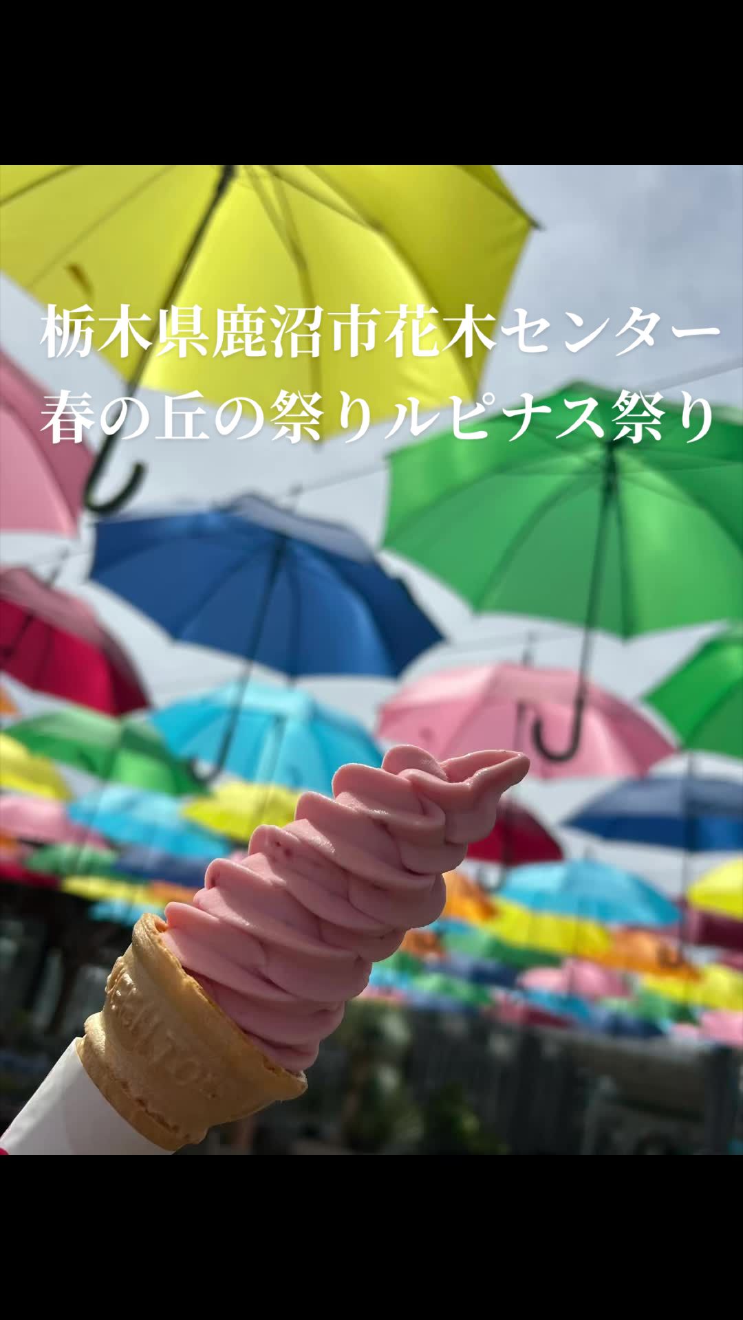 @♡さくらの♡