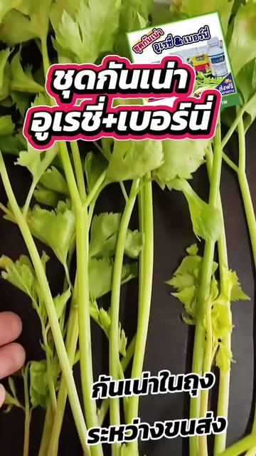 @ร้านซันเกษตร