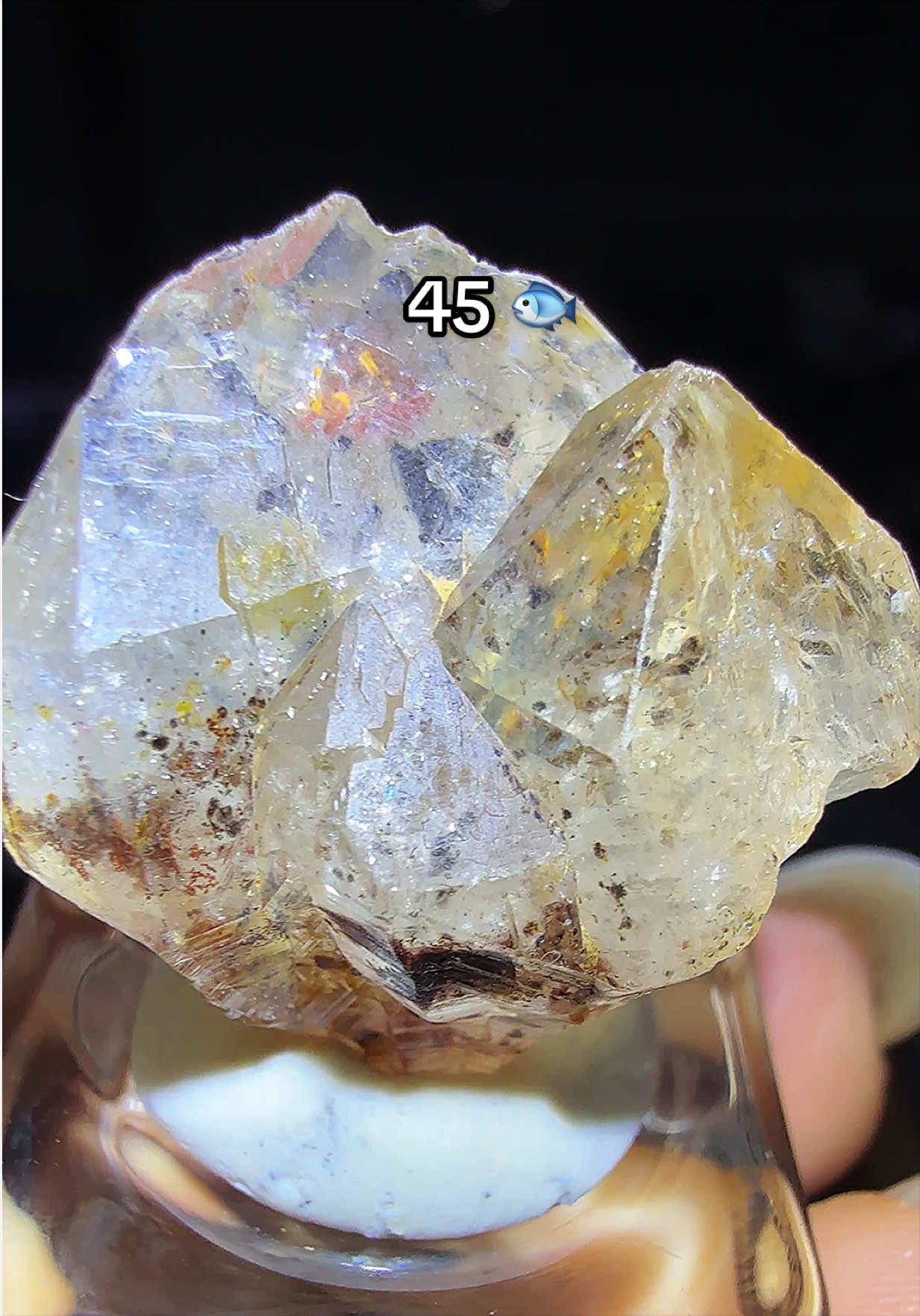 @Halen Crystal