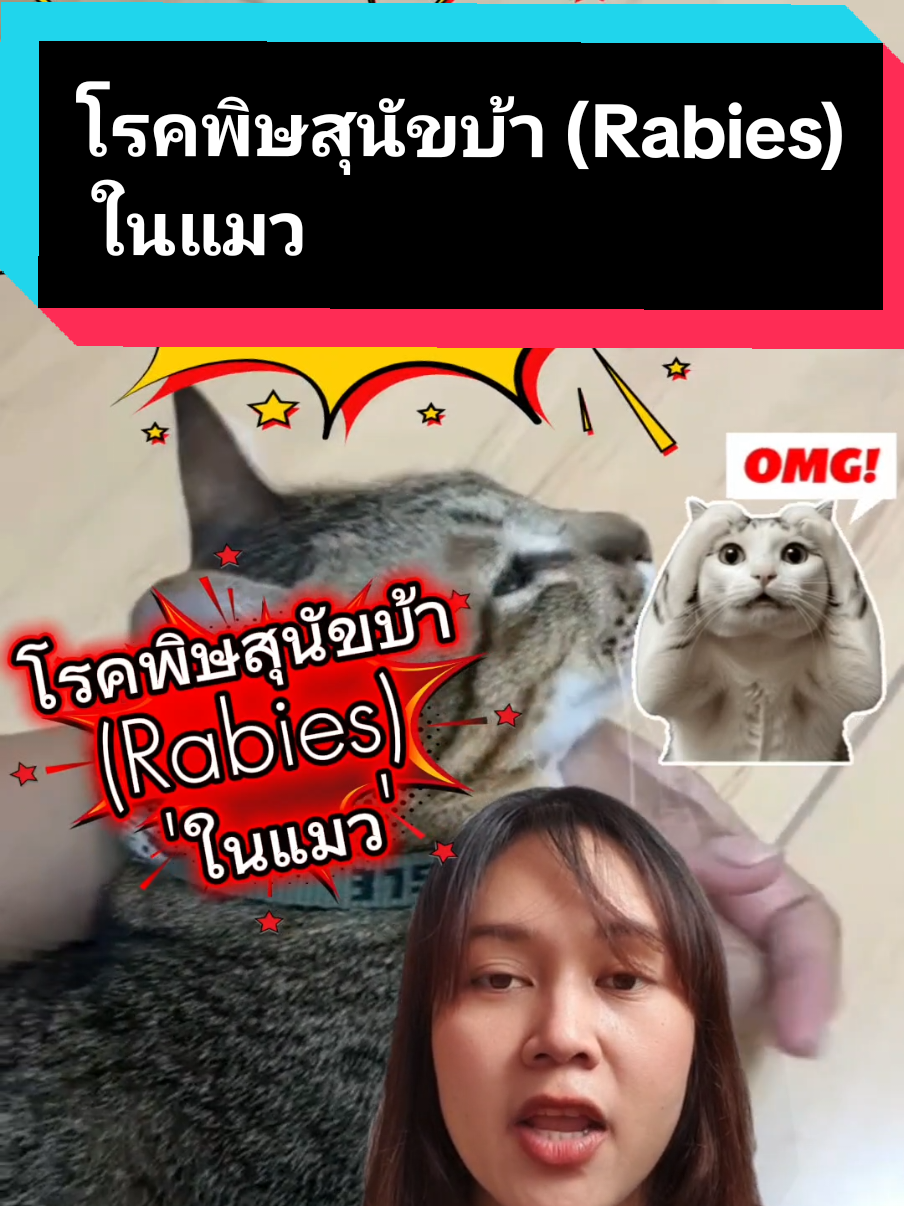 @คนเป่าข่าว📣