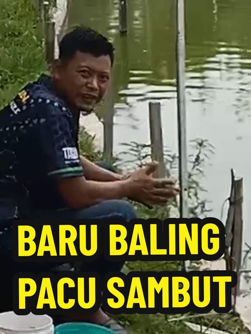 @SilatangBugis