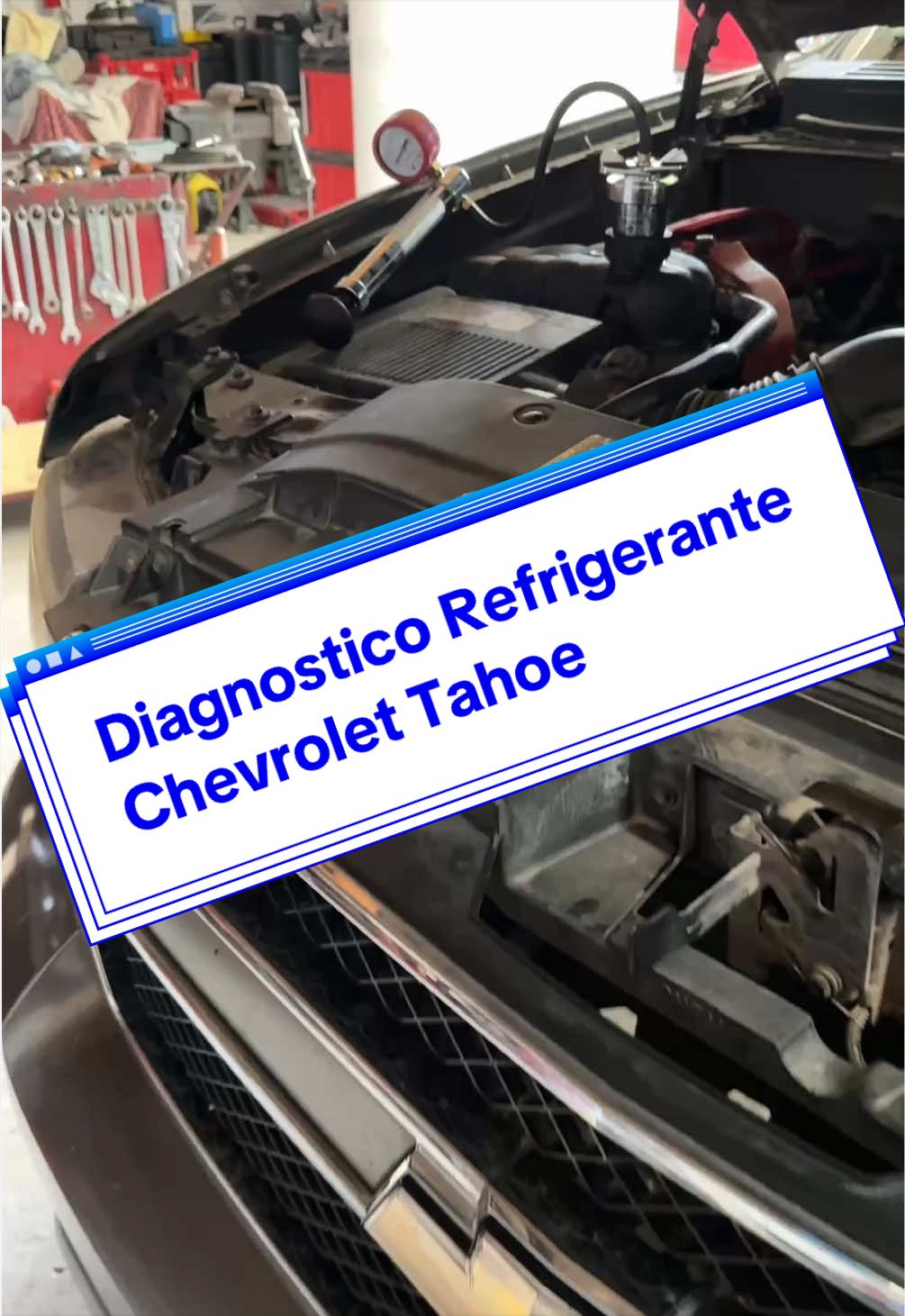 @anselmo_sanchez